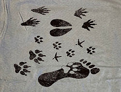 A photo of a tee shirt featuring many different kinds of animal tracks.