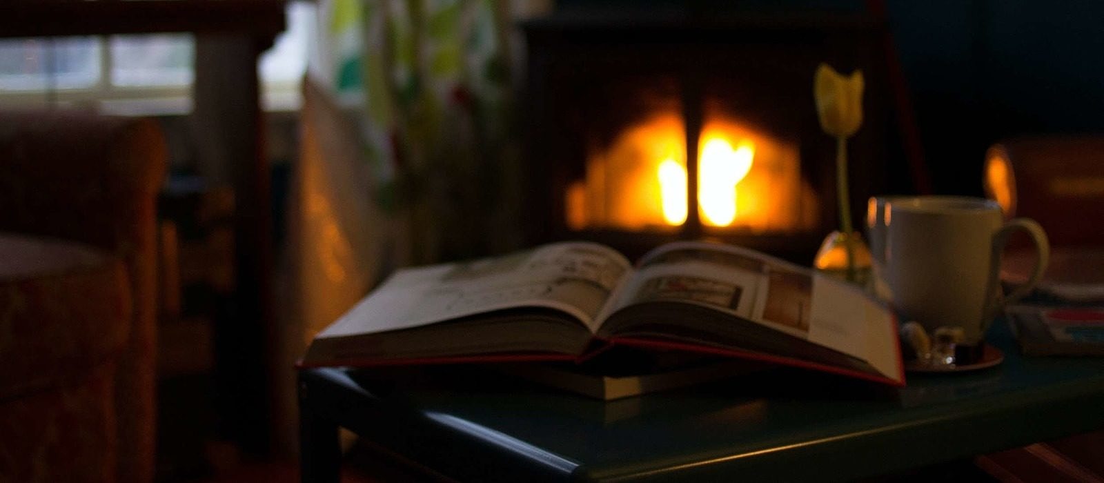 An open book lying on a table, next to a white mug, with a wood stove glowing in in the background. (photo © Pravan Trikutam via Unsplash)