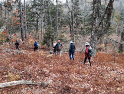 A line of hikers walks through a clearing in the woods. (photo © Dave Butler)