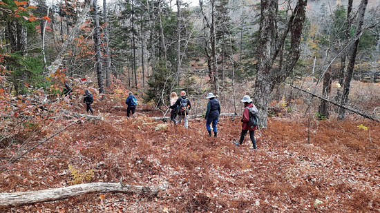 A line of hikers walks through a clearing in the woods. (photo © Dave Butler)
