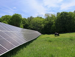 A solar panel installation in a green farm field, with a horse grazing nearby. (photo © Monadnock Sustainability Hub)