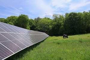 A solar panel installation in a green farm field, with a horse grazing nearby. (photo © Monadnock Sustainability Hub)
