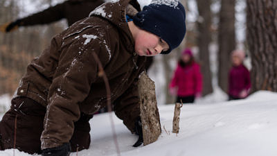 A boy kneels in the snow to look closely at a beaver-chewed stump. (photo © Ben Conant)
