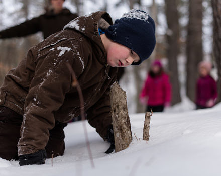 A boy kneels in the snow to look closely at a beaver-chewed stump. (photo © Ben Conant)