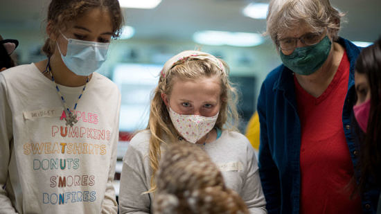 Two girls and a teacher, all wearing face masks, look at a taxidermied owl. (photo © Ben Conant)
