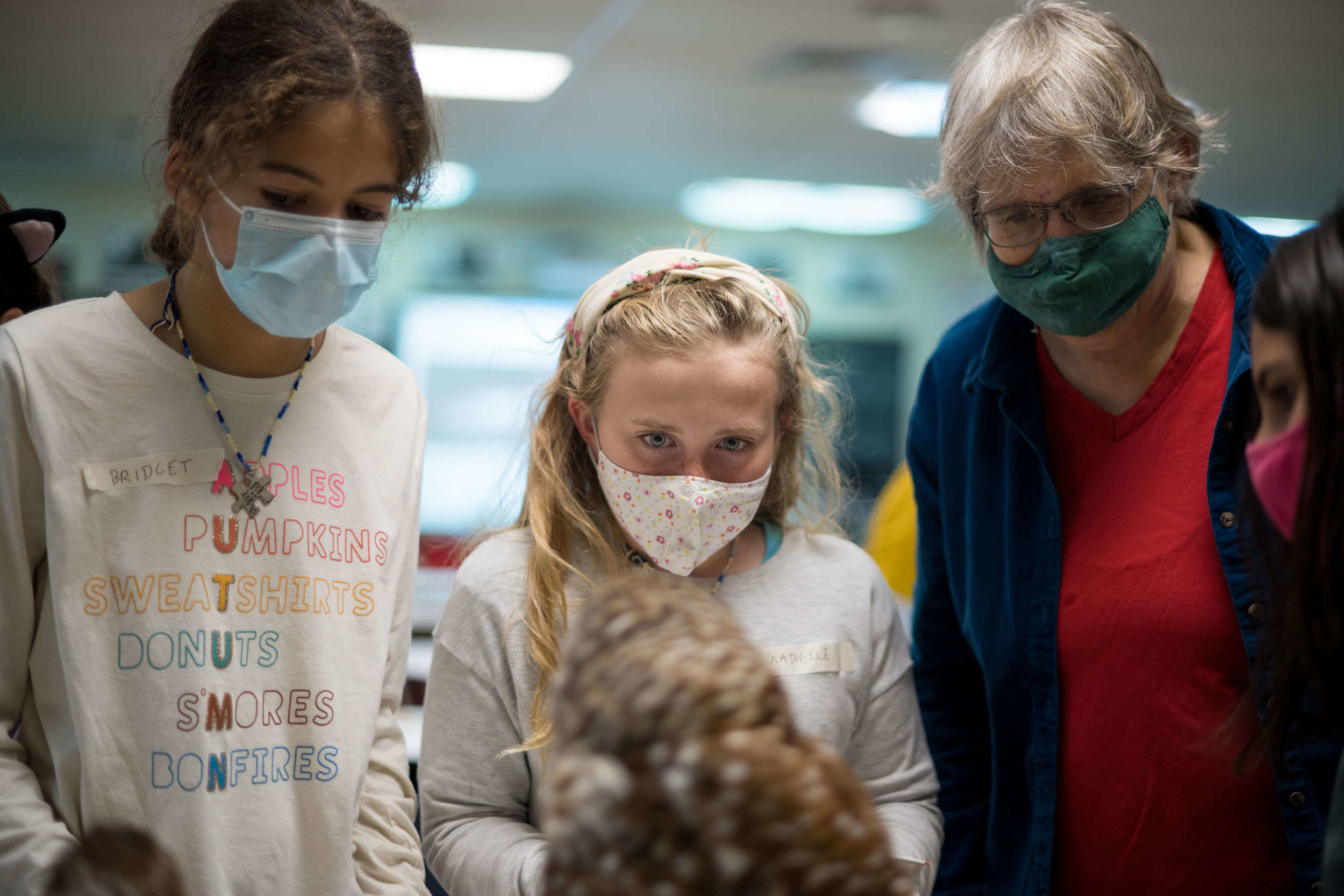 Two girls and a teacher, all wearing face masks, look at a taxidermied owl. (photo © Ben Conant)