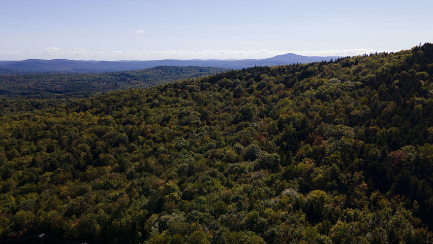 An aerial view of a forested landscape, photographed by drone. (photo © James Newsom)