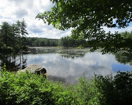 A view of Pratt Pond surrounded by summer green. (photo © Linda Bollinger)