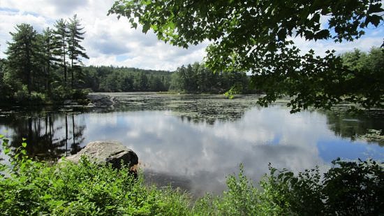 A view of Pratt Pond surrounded by summer green. (photo © Linda Bollinger)
