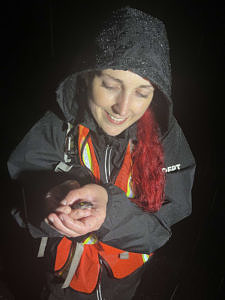 A woman wearing a reflective vest and raincoat smiles down at a spotted salamander in her hand. (photo © Dallas Huggins)