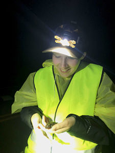 A young woman wearing a reflective vest and headlamps smiles while looking down at a spotted salamander she is holding in her hands. (photo © Karen Seaver)