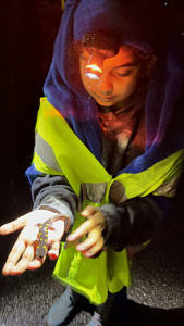 A child wearing a reflective vest and a red headlamp holds a spotted salamander in their hands. (photo © Chandra Balakrishna)