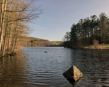 A view of Center Pond in Nelson, as seen from the boat launch. (photo © Brett Amy Thelen)