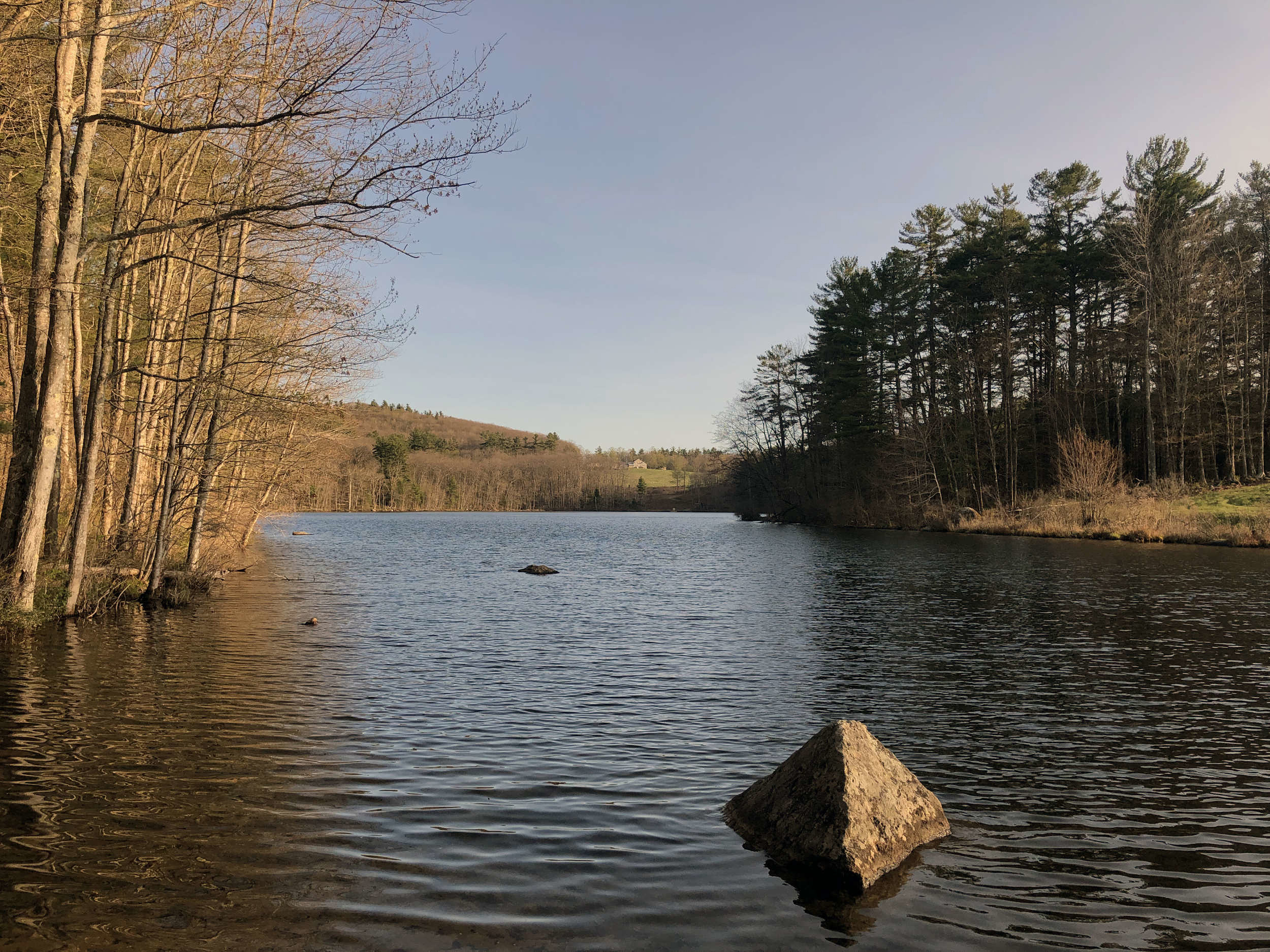 A view of Center Pond in Nelson, as seen from the boat launch. (photo © Brett Amy Thelen)