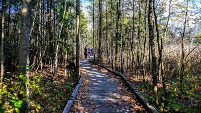 The Tenant Swamp boardwalk, partially covered in fallen leaves, with families walking in the distance. (photo © Jim Murphy)
