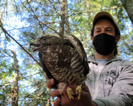 Bird Conservation Director Phil Brown holds 