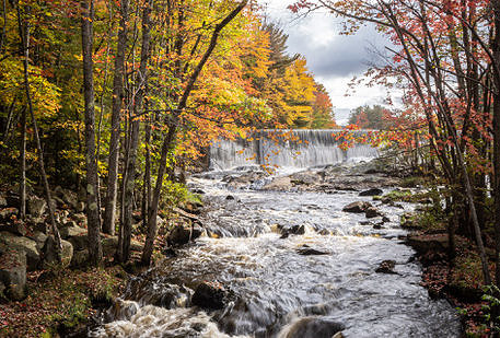 An rushing brook, surrounded by fall foliage. (photo © Stephen Gehlbach)