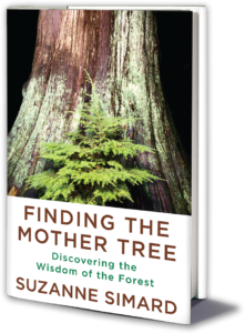 Book cover of "Finding the Mother Tree"