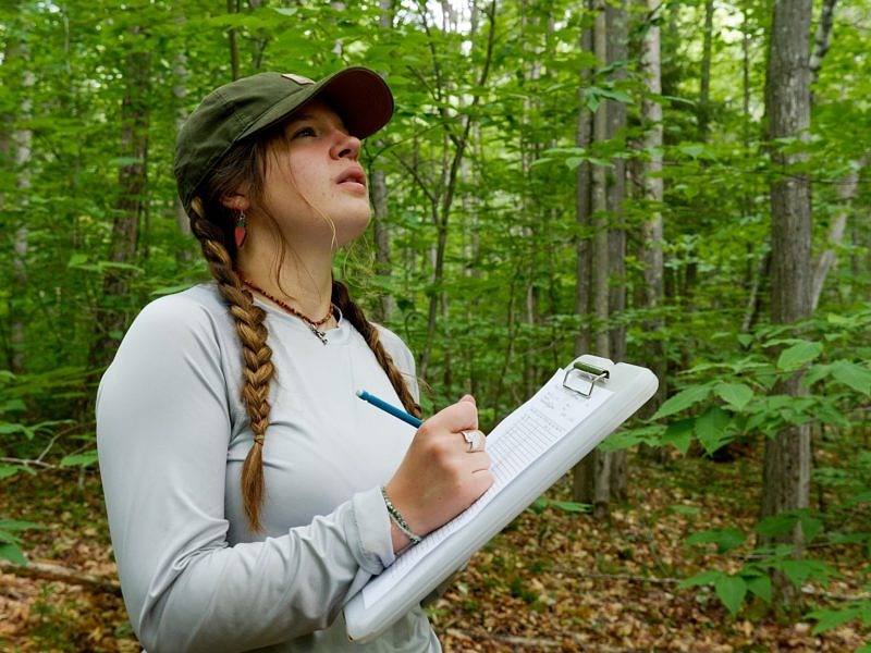 Intern Mallory Roof records forest inventory data on a clipboard. (photo © Will Wrobel / Keene State College)