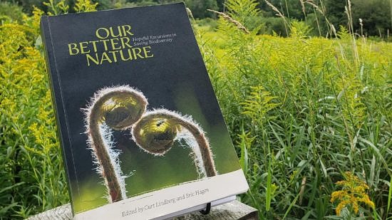 Our-Better-Nature-book-cover