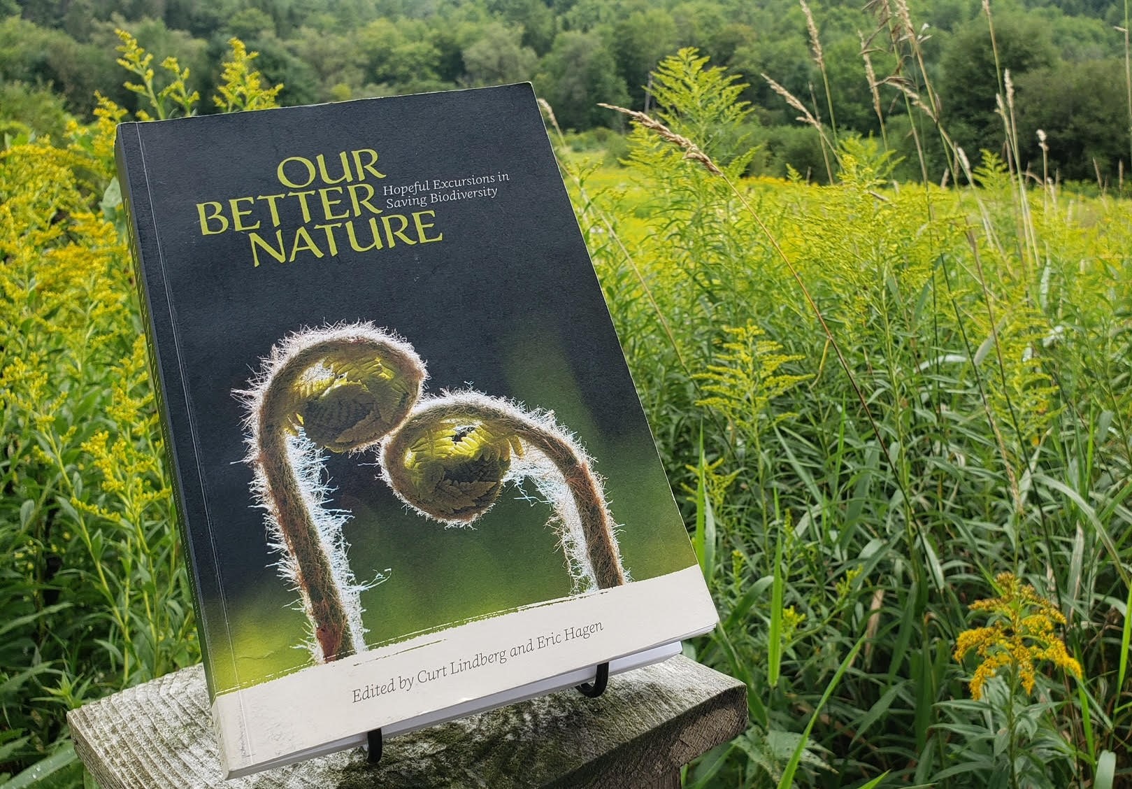 Our-Better-Nature-book-cover