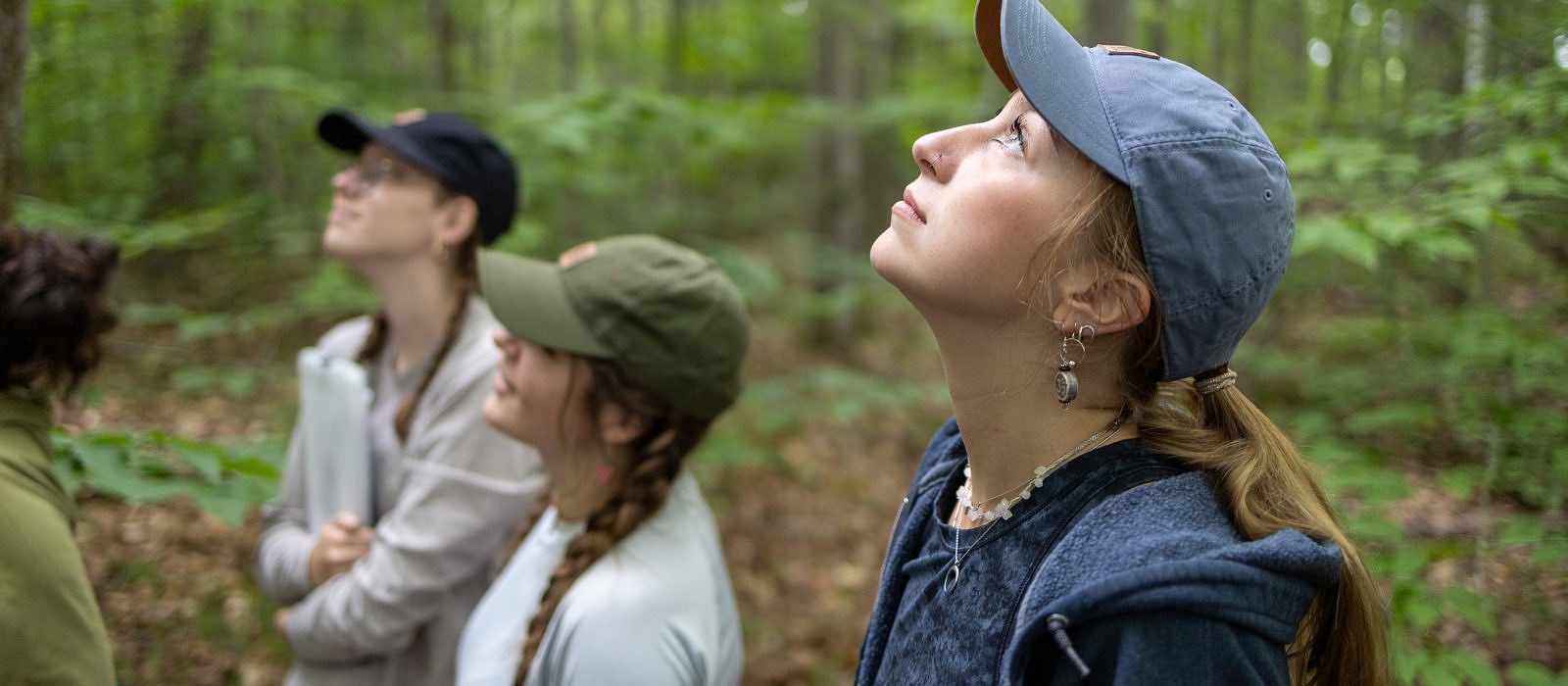 Three Harris Center interns stand in the woods, looking upward toward the top of a tree. (photo © Will Wrobel / Keene State College)