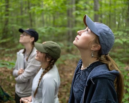 KSC interns Taylor Jackson, Mallory Roof, and Veronica Kroha look toward the tree canopy during a morning of forest inventory. (photo © Will Wrobel / Keene State College)