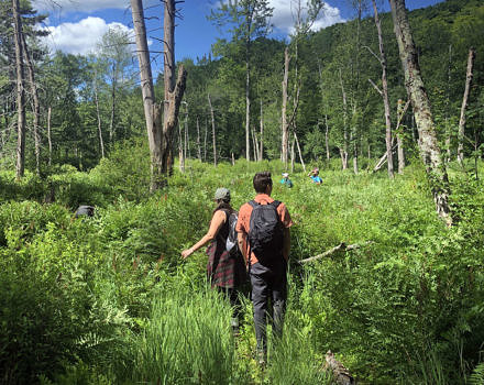 The KSC conservation internship team often teamed up with UNH forestry intern Donovan Lombara (center-right) for shared fieldwork, including forest inventory, trail work, and invasive plant management. Sometimes, this work brought them to especially beautiful, off-the-beaten-path places in the SuperSanctuary. (photo © Brett Amy Thelen)