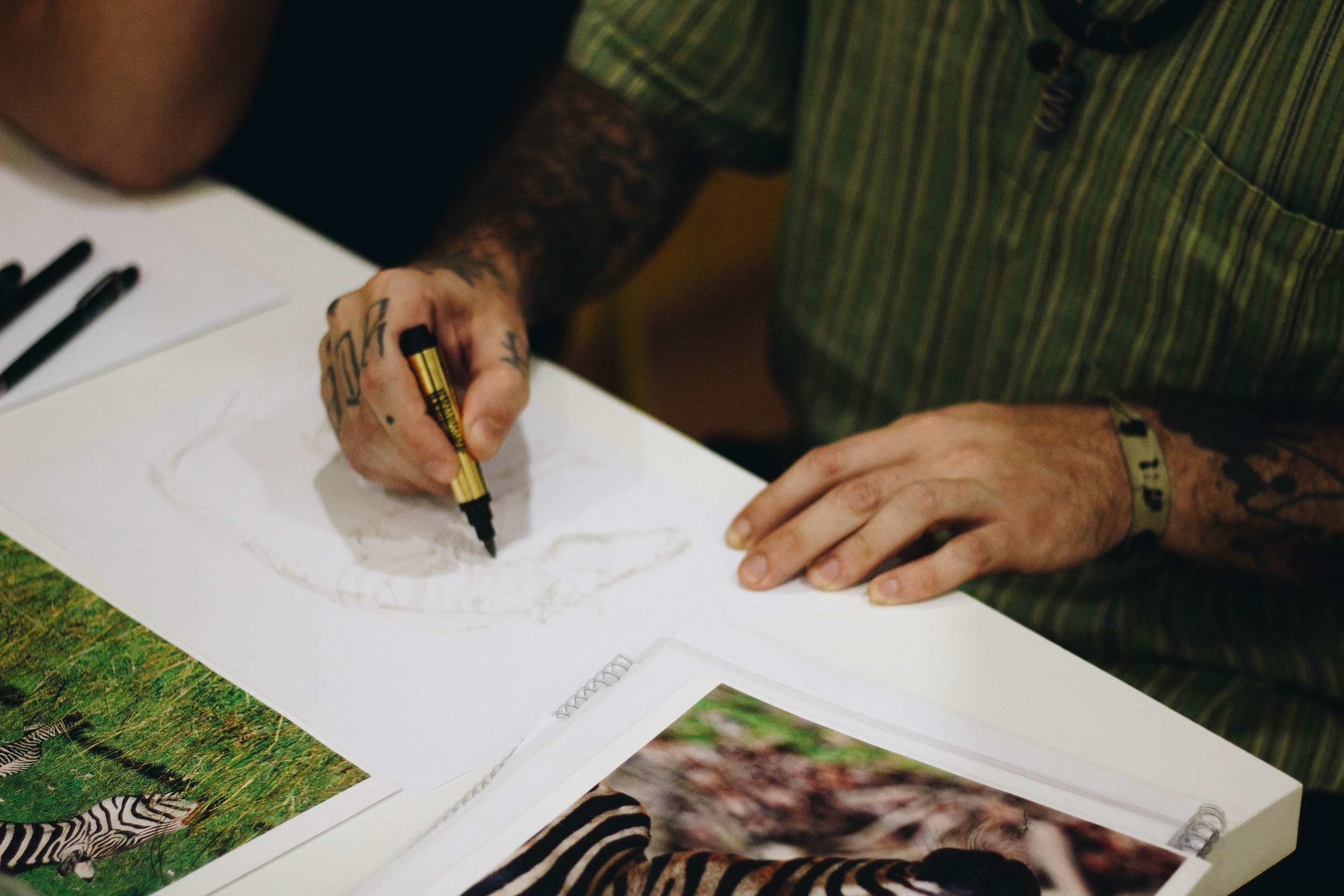 A person sitting at a table and sketching, with photos of zebras on the table. (photo © Thiago Barletta via Unsplash)