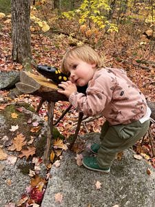 A toddler leans close to a wooden carving of a spotted salamander on the Harris Center's Harriskat Trail. (photo © Maria Finnegan)