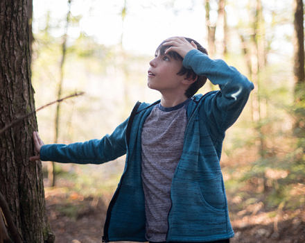 A middle school boy stands in the woods, looking up at a tree in wonder. (photo © Ben Conant)