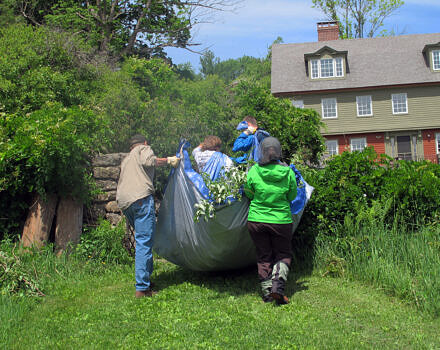 A group of volunteers carries a tarp full of recently pulled invasives.