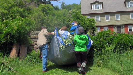 A group of volunteers carries a tarp full of recently pulled invasives.