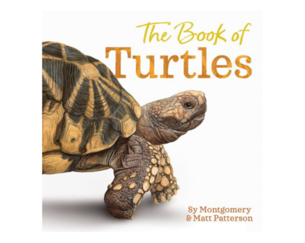 Book cover art for the Book of Turtles by Sy Montgomery and Matt Patterson