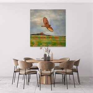 Broad-wing Hawk art on a wall (Illuminate Conservation)