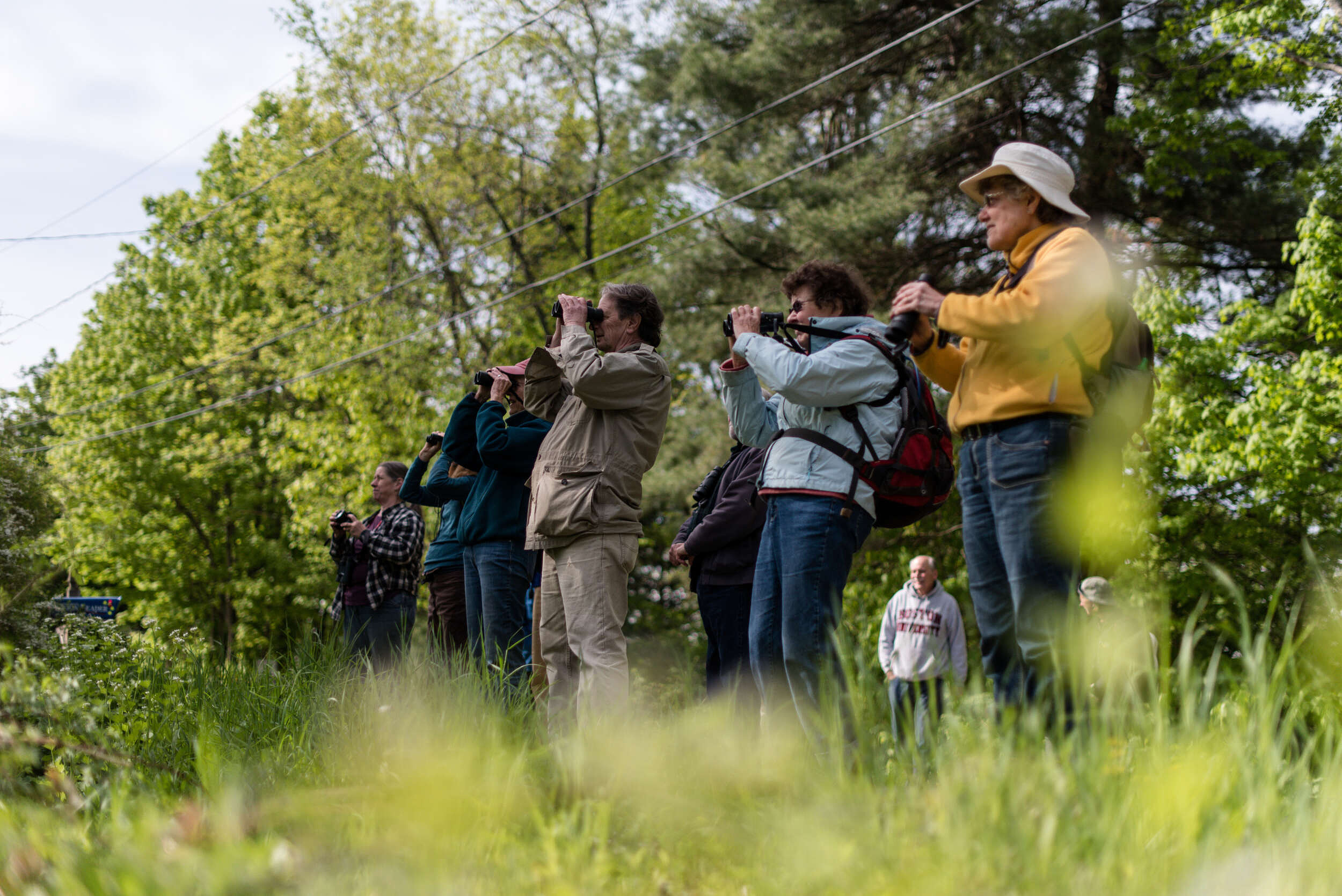 A group of birders stand in a row, holding their binoculars up (photo: Ben Conant).