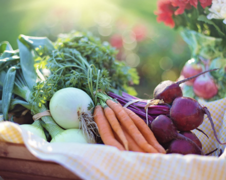 Fresh vegetables in a basket on a sunny day (photo: Canva Commons).