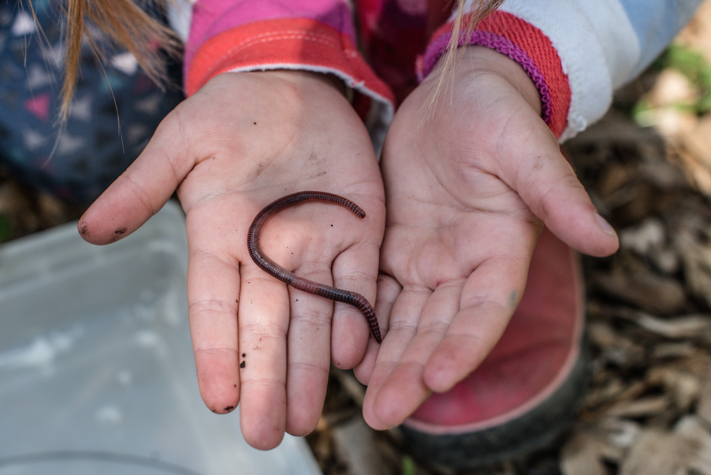 A child holds a worm in their open hands (photo: Ben Conant)