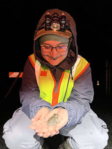 A person wearing a reflective vest and headlamp smiles while looking down at the gray tree frog they're holding in their hands. (photo © Brett Amy Thelen)