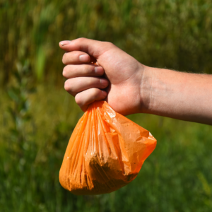 A hand holding an orange dog waste bag (photo: CanvaCommons)