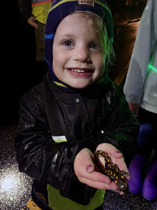 A child smiles while holding a spotted salamander in their hands. (photo © Katy Luscombe)