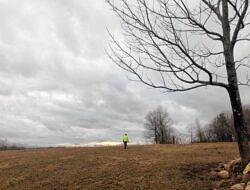 A person wanders through an open field (photo: Brett Amy Thelen)