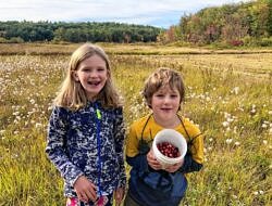 Laurel and Alden Brown hold a bucket of cranberries in a wetland (photo: Phil Brown)