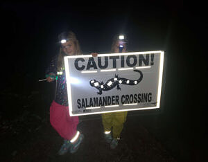 Two kids wearing raingear and headlamp pose with a sign that says "Caution! Salamander Crossing." (photo © Gabe Roxby)