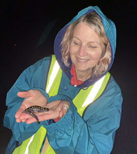 A Salamander Crossing Brigade volunteer smiles while holding a spotted salamander. (photo © Sarah Thomas)