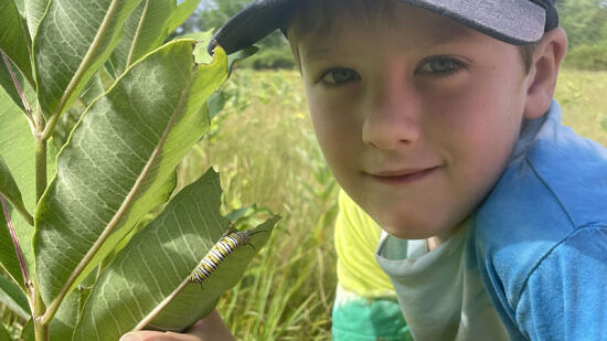 Alden Brown up close with a milkweed plant (photo: Susie Spikol)