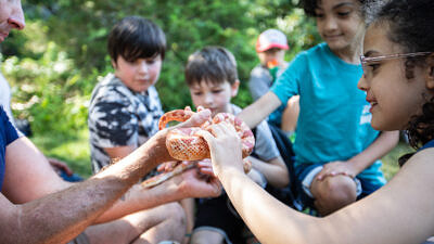 Children pet a corn snake. (photo: Martha Duffy)