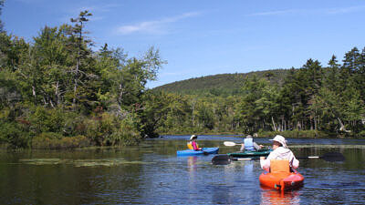Three kayakers paddle on Ashuelot pond. (photo: Meade Cadot)