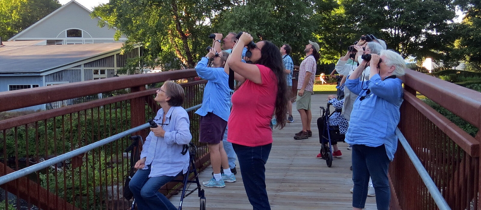 Our new Birding for All outings offer opportunities for people of all abilities and levels of birding experience to enjoy wild birds (photo: Meade Cadot)