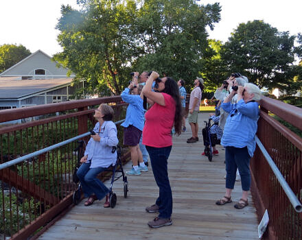 A group of birders life their binoculars to the sky on Brenner Bridge (photo: Meade Cadot)